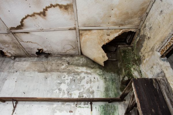 Water Damage Service in Provo