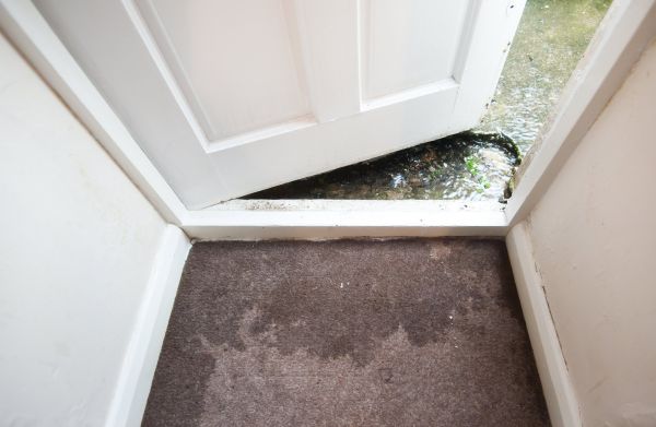 Wet Carpet Restoration in Provo