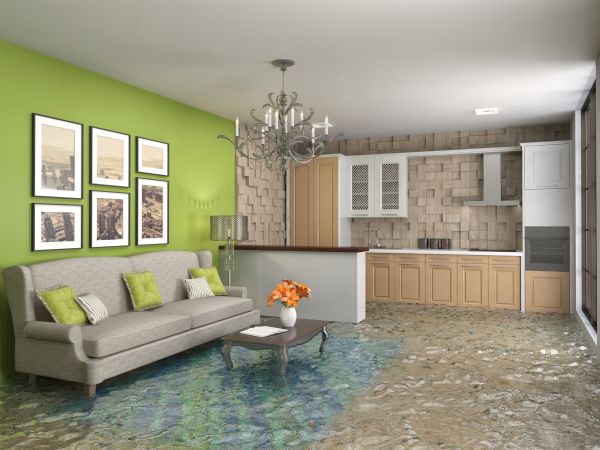 Wet Carpet Drying in Provo