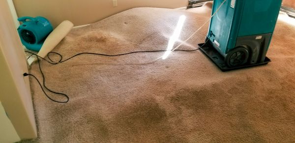 Carpet Water Extraction in Provo