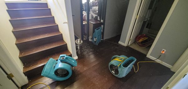 Water Damage Remediation in Provo