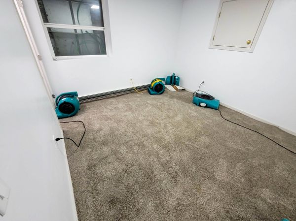 Flood Restoration Service in Provo
